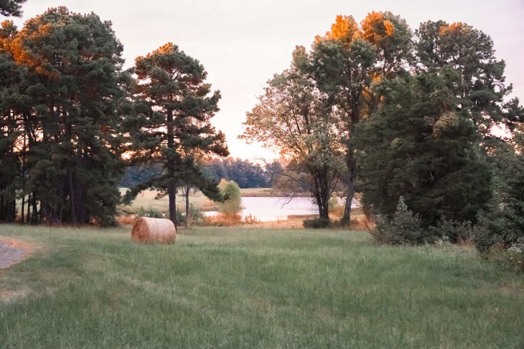 Scenic Arkansas landscape at Peaceful Pointe, perfect for relaxation and outdoor activities.