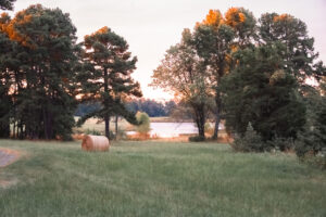 Scenic Arkansas landscape at Peaceful Pointe, perfect for relaxation and outdoor activities.