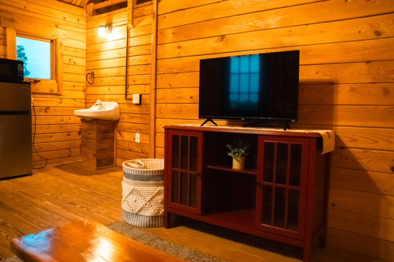 Cozy interior of a Peaceful Pointe cabin with modern amenities in Solgohachia, Arkansas.