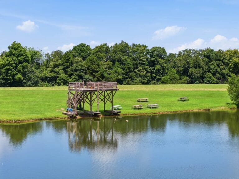 6_dji_20260716114619_0960_d