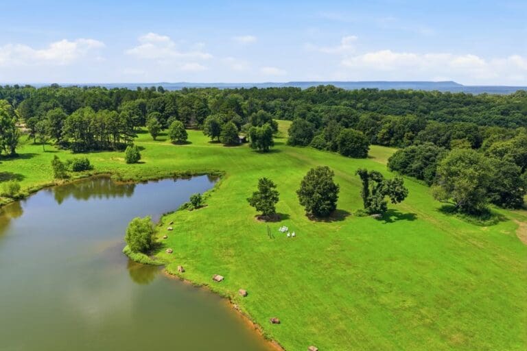 7_dji_20260716114639_0963_d